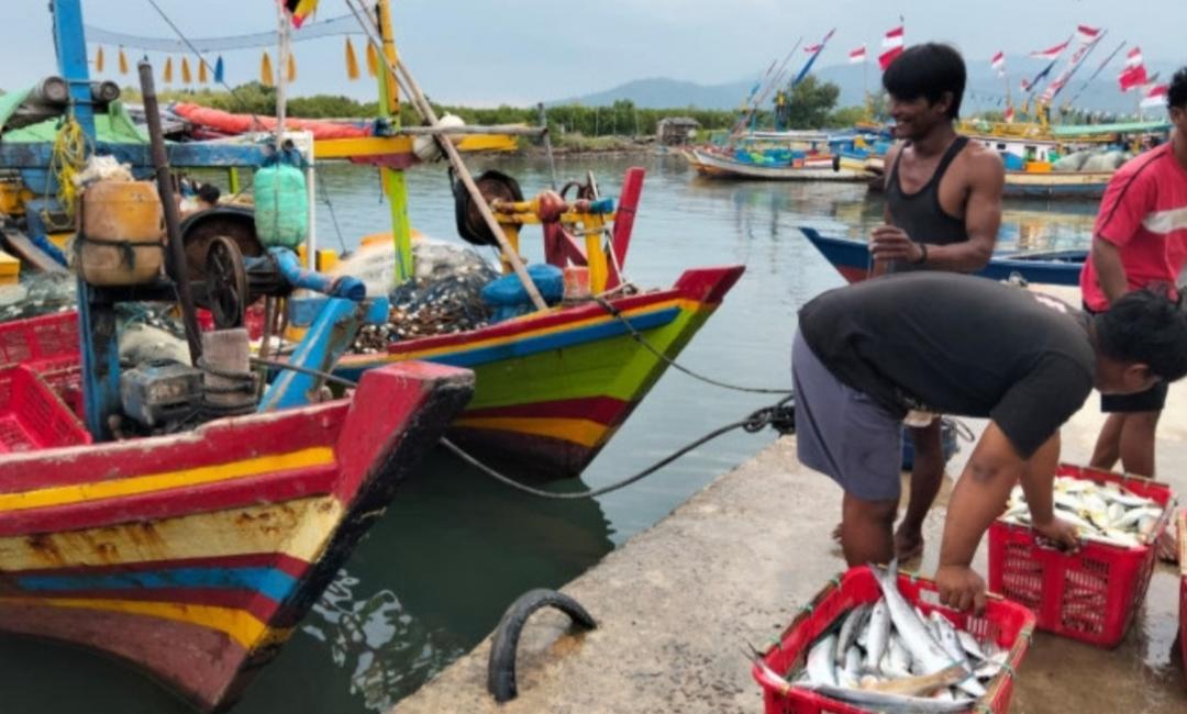 Waspada, BMKG Maritim Lampung Rilis Peringatan Gelombang Tinggi Hingga 4 Meter di Wilayah Ini
