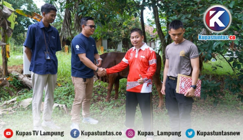 ‎Pelindo Regional 2 Panjang Salurkan 21 Ekor Hewan Qurban pada Iduladha 1447 H