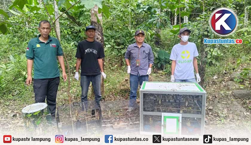 BKSDA Gagalkan Penyelundupan 203 Ekor Burung di Tol Trans Sumatera