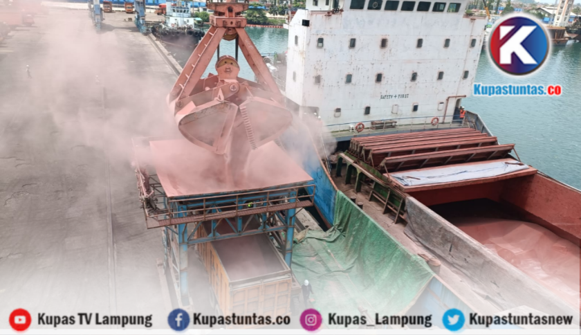 Jadi Salah Satu Penentu Harga, Begini Sikap Konsisten PTP Gelar Efisiensi