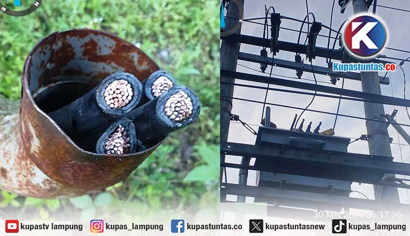 Pencurian Kabel Trafo di Lampung Barat Kian Meresahkan, PLN Minta Warga Ikut Mengawasi