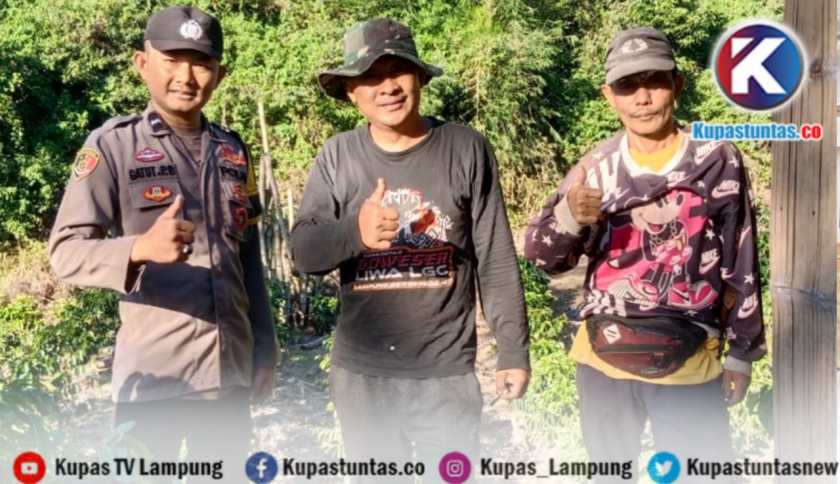 Marak Pencurian di Kebun Kopi, Warga Harap Polisi Tingkatkan Patroli di Wilayah Perkebunan
