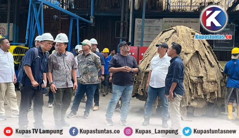 ‎PTPN I Genjot Produksi Karet di Bengkulu
