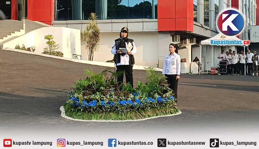Eva Dwiana Perintahkan Pendataan Pendatang dan Sidak Tempat Hiburan di Bandar Lampung