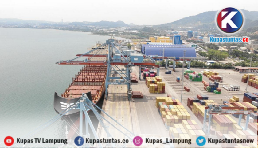 Pertumbuhan Arus Peti Kemas Internasional Tembus 11%, Sinyal Positif bagi Ekonomi Indonesia
