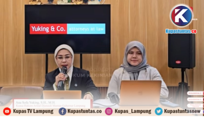 Kuasa Hukum Bantah Arinal Terlibat Korupsi Dana PI 10 Persen: Sepeser Pun Tidak Pernah Menerima Uang
