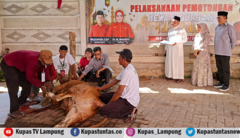 Kostiana Tekankan Semangat Berbagi pada Momentum Iduladha 1447 Hijriah