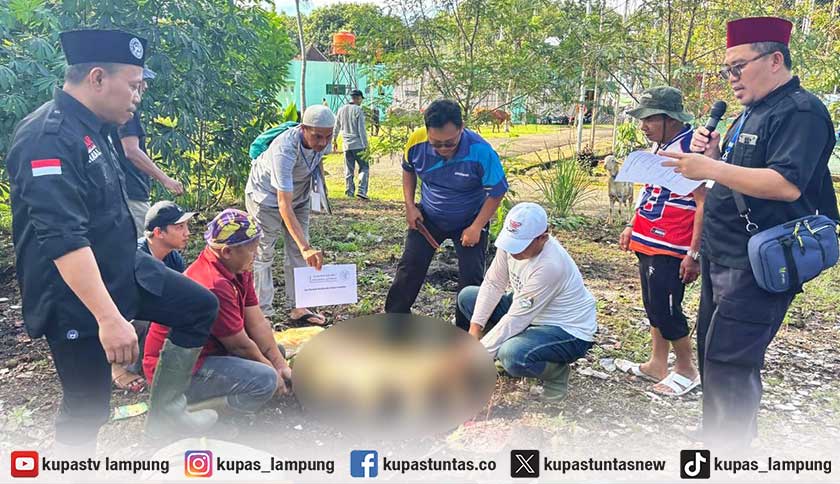 Berbagi di Idul Adha, PTPN I & PTPN IV Regional 7 Sembelih 6 Sapi dan 12 Kambing Qurban