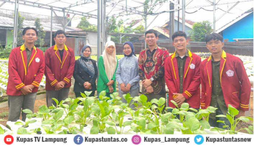 Mahasiswa Terbaik Teknik Elektro Universitas Teknokrat Indonesia Terapkan PLTS untuk Pertanian Hidroponik Berkelanjutan di Lampung
