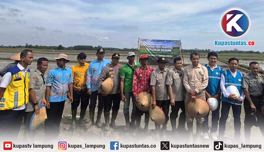 Akselerasi Ketahanan Pangan Daerah, PLN Hadirkan Listrik Andal untuk Pertanian Modern