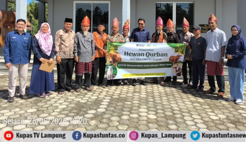 PTPN I Potong 304 Hewan Kurban di Seluruh Wilayah Kerja