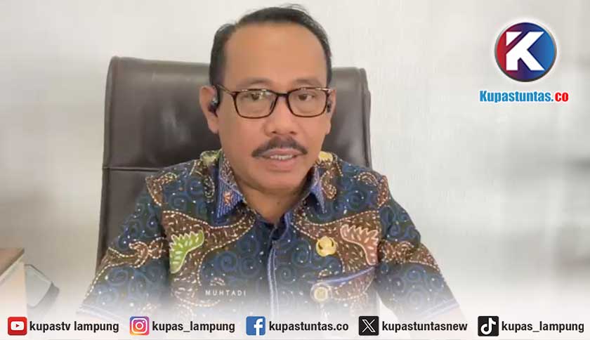 Belum Ada Kasus Hantavirus di Bandar Lampung, Dinkes Minta Warga Waspadai Tikus dan Lingkungan Kotor