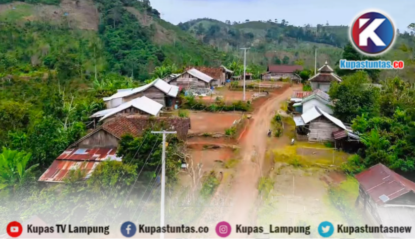 Nyalakan Listrik di 7 Desa, PLN UID Lampung Tingkatkan Rasio Desa Berlistrik Provinsi Lampung