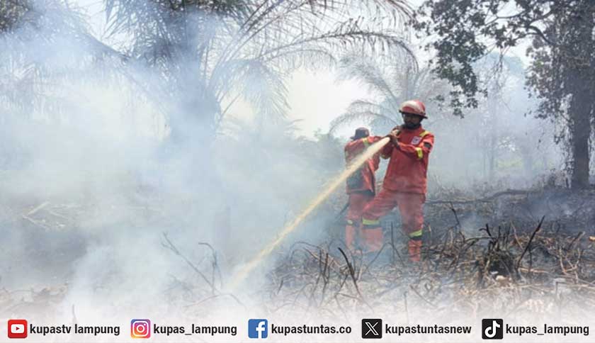 BNPB Minta Pemda Perketat Patroli Karhutla hingga Petakan Sumber Air Alternatif