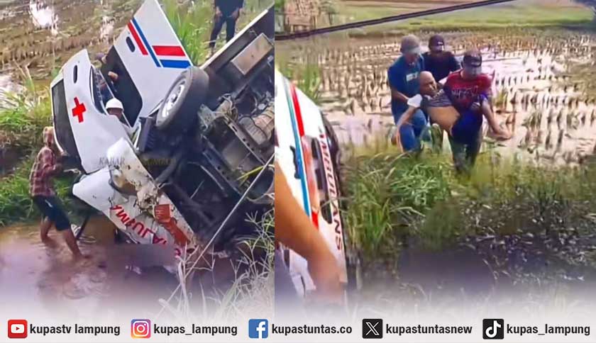 Ambulans Lapas Kotabumi Terjungkal Masuk ke Sawah di Jalinsum Lamteng