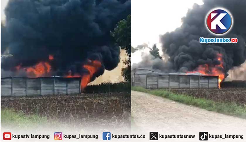 Gudang Diduga Penampung Solar Ilegal Terbakar di Pesawaran