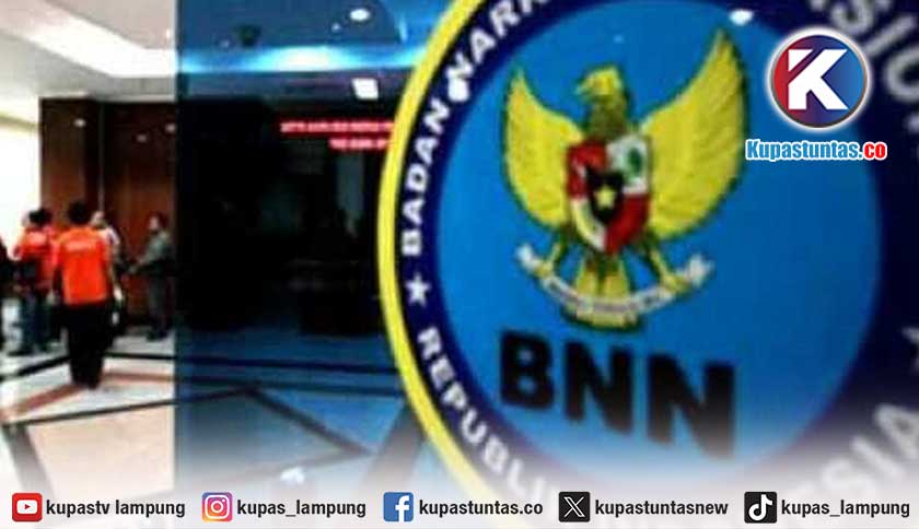 BNN Dikabarkan Tangkap Caketum Hipmi Diduga Terkait Narkoba