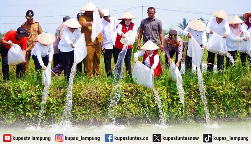Panen Raya Bersama Petani di Lampung Tengah, Winarti Salurkan Bantuan Bibit Padi, Buku Tulis dan Benih Ikan