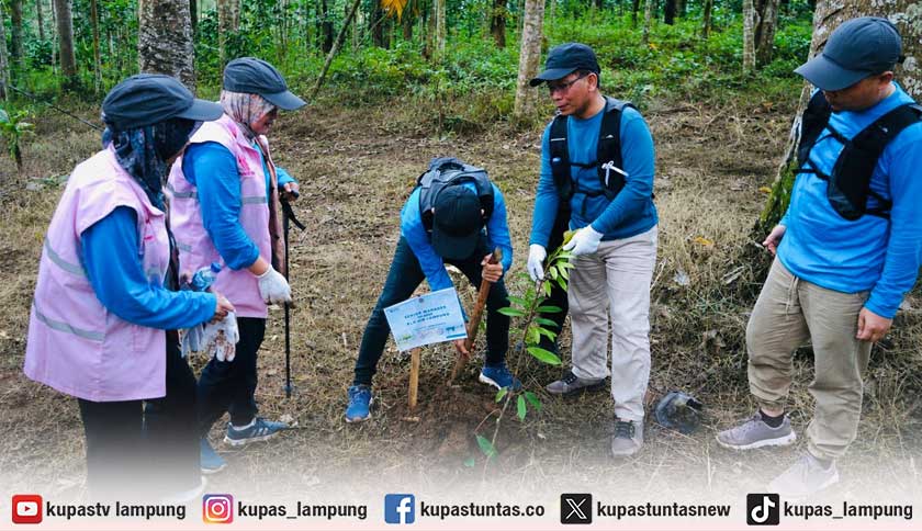 PLN UID Lampung Peringati Hari Lingkungan Hidup Sedunia dengan Aksi Penanaman Pohon untuk Masa Depan Berkelanjutan