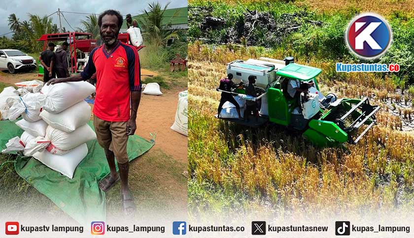 Cetak Sawah Rakyat Perkuat Kesejahteraan Petani dan Produksi Pangan, Petani Papua: Pemerintah Bantu Kami Kelola Lahan Sendiri