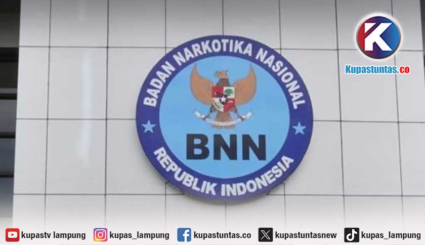 BNN Bantah Kabar Tangkap Caketum Hipmi dan Rombongan dari Bangkok