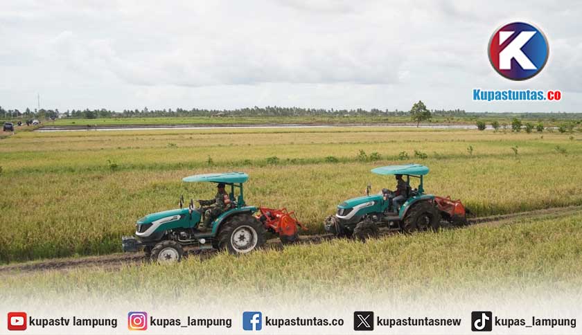 Mentan Amran Jawab Isu 'Pesta Babi' di Merauke: Yang Kami Bangun Adalah Pesta Pangan
