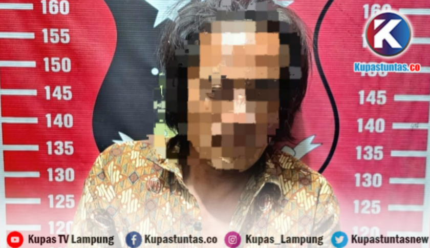 Usai Buron, Terduga Pelaku Kekerasan Seksual terhadap Penyandang Disabilitas di Pesisir Barat Ditangkap Polisi