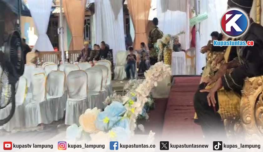 Pesta Pernikahan di Lampung Selatan Diserbu Tawon Vespa, Tamu Undangan Kocar-kacir