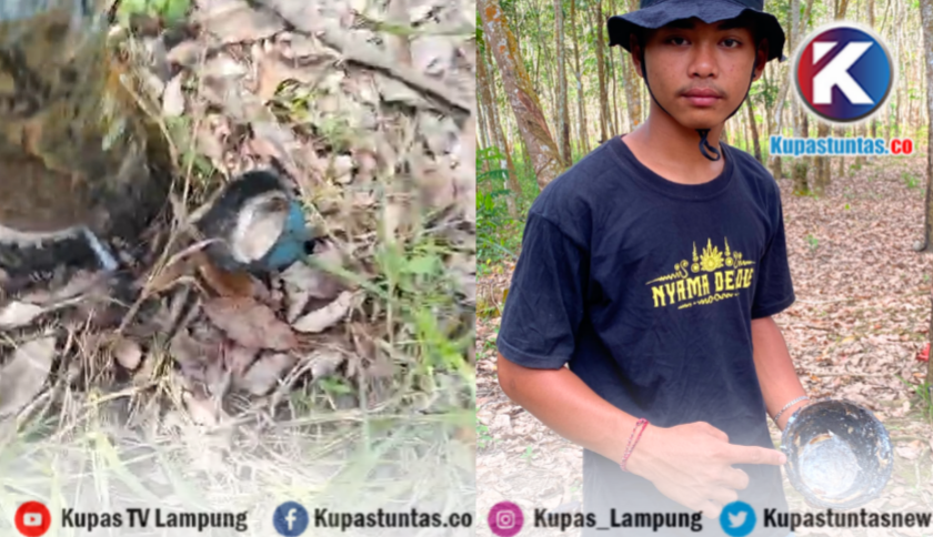 Puluhan Petani Karet di Mesuji Jadi Korban Pencurian, Warga Minta Polisi Bertindak
