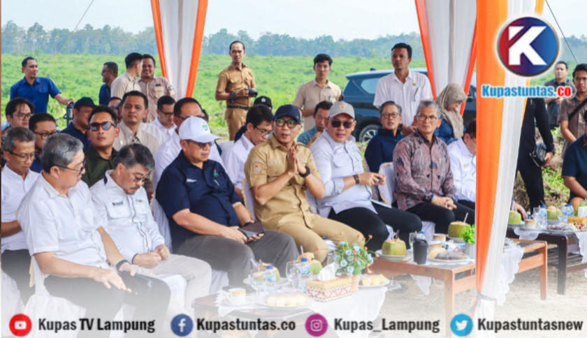 Wamen Investasi dan Hilirisasi Todotua Pasaribu: PTPN I Paling Siap Dukung Ketahanan Energi