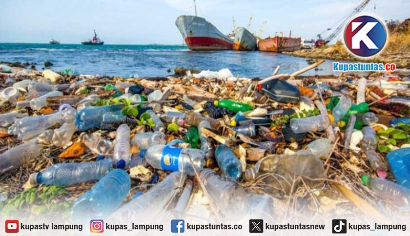KKP Beri Insentif bagi Pemda Berhasil Cegah Kebocoran Sampah ke Laut