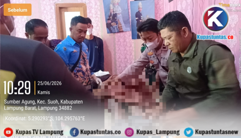 Satu Warga Meninggal Dunia Diserang Gajah di Suoh Lampung Barat