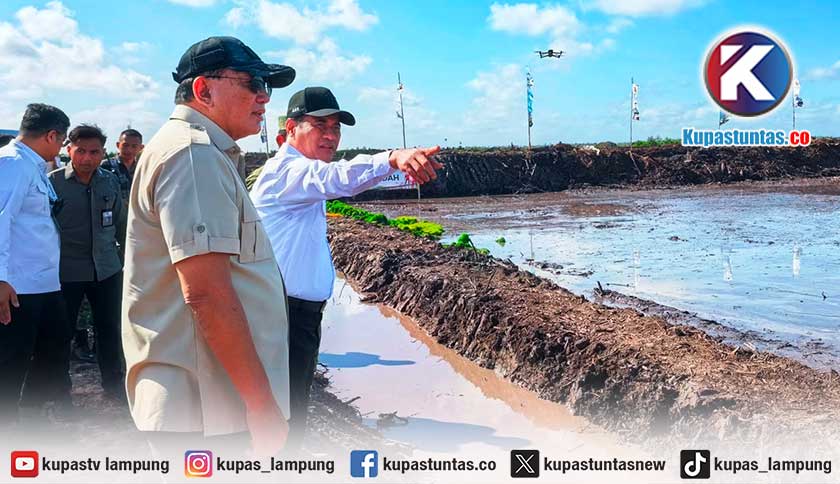 Wanam Sejahtera Lewat Sektor Pertanian, Mentan Amran: Anggaran untuk Papua Kami Tambahkan