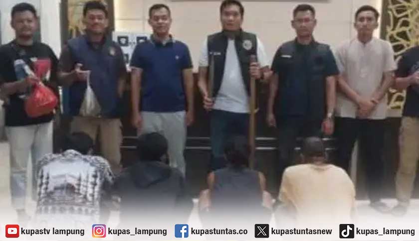 Viral Penyembelihan Tapir di Mesuji, Empat Pelaku Dibekuk Polisi