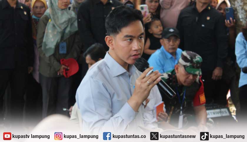 Temui Petani di Lampung Timur, Wapres Gibran Janji Bahas Harga Singkong dan Rafaksi ke Pemerintah Pusat