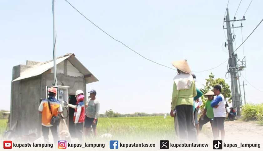 Penantian Panjang Berakhir, 65 KK di Sukamakmur Lambar Akhirnya Nikmati Listrik
