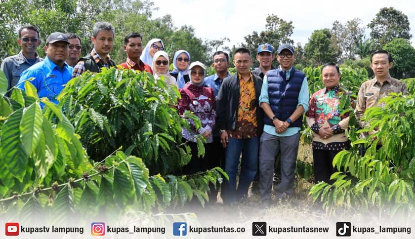 Gubernur Kenalkan Pupuk Hayati Cair, Tanaman Kopi Diklaim Berbuah Lebih Cepat