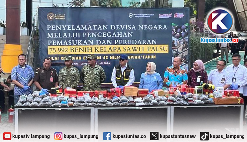 Karantina Lampung Gagalkan Peredaran 75.992 Bibit Sawit llegal