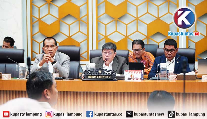 DPR RI Puji Kinerja Kementan, Wamentan Sudaryono: Anggaran Harus Berdampak untuk Petani