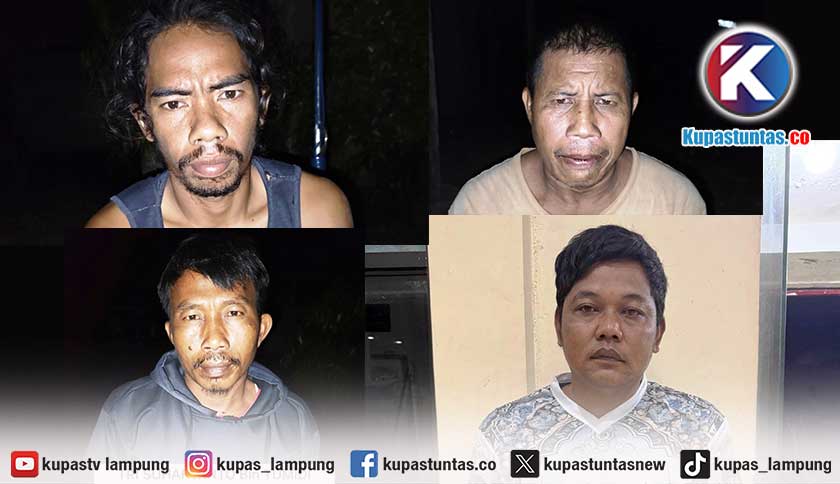 Empat Pembunuh Tapir di Mesuji Ditangkap, Polisi Masih Buru Dua Orang