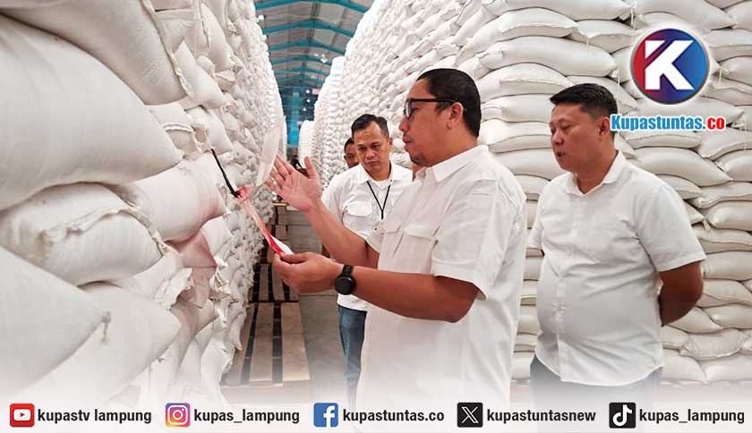 Serap 411 Ribu Ton Gabah, Bulog Lampung Pastikan Bantuan Pangan Siap Disalurkan