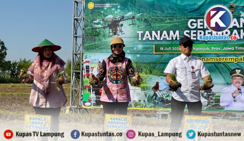 ‎Genjot Produksi Pangan, Kementan Gelar Tanam Serentak di 26 Provinsi