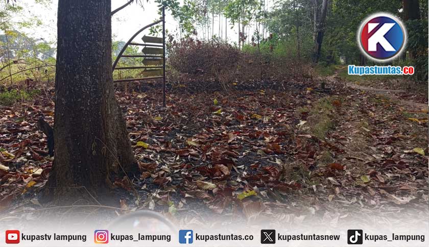 DLH dan Pengelola Capit Urang Beberkan Lokasi Kebakaran Lahan di Metro Utara