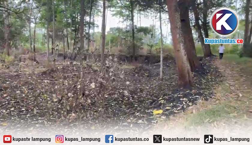 DPRD Sesalkan Dugaan Percobaan Pembakaran Lahan di Capit Urang