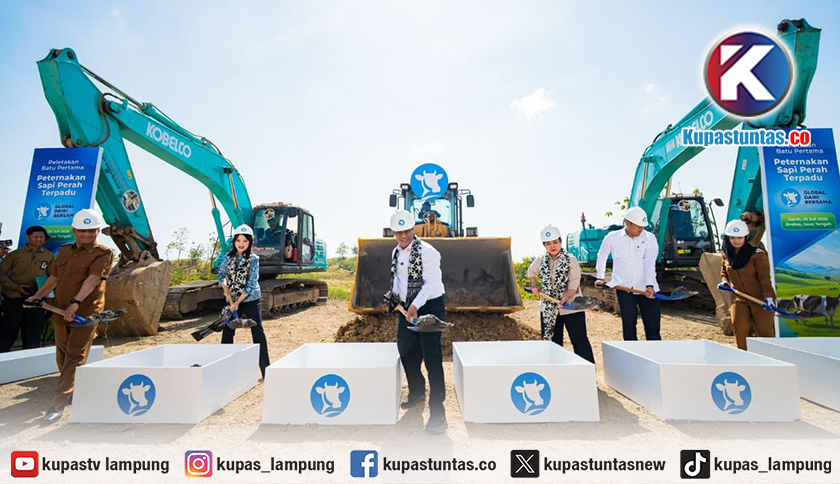 Bangun Peternakan Sapi Perah Terbesar di Brebes, Mentan Amran: Selama Peternak Bisa Produksi Susu, Kami Tidak Akan Impor