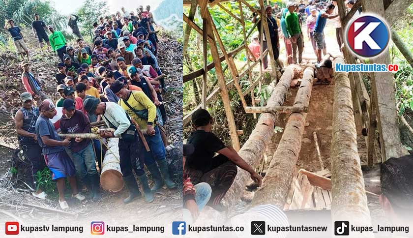 Perjuangan Warga Lemong Pesibar Bangun Swadaya Jembatan Waykubu