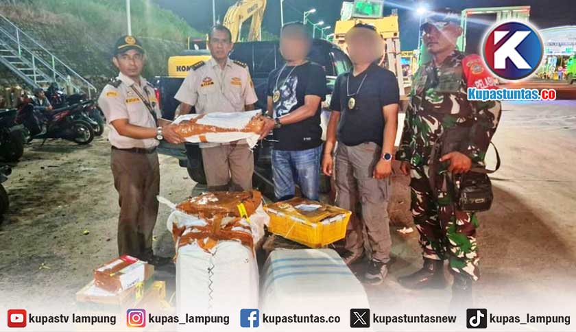 TNI AL Gagalkan Penyelundupan 445 Kulit Piton dan 32 Kura-kura di Pelabuhan Bakauheni