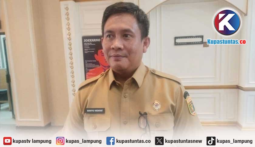 BPBD: Lampung Timur, Tulang Bawang, dan Mesuji Lokasi Paling Rawan Karhutla