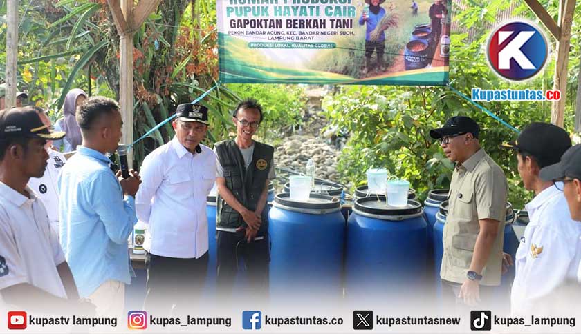 Panen Padi Lebih Cepat 10 Hari, Pupuk Hayati Jadi Andalan Tingkatkan Produktivitas Petani BNS