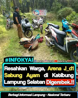 Resahkan Warga, Arena J_d1 Sambung Ayam di Katibung Lampung Digerebek.!!